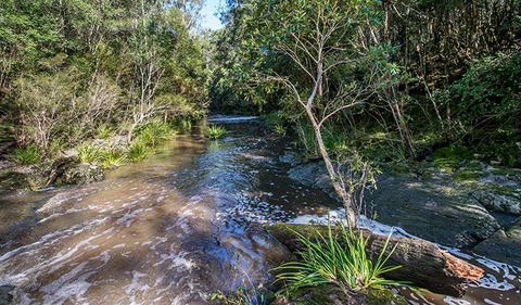 Brimbin Picnic Area - Getaway Accommodation 2