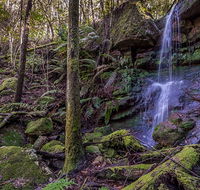 Coorabakh National Park - Getaway Accommodation