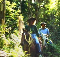Clarendon Forest Retreat Horse Riding - Getaway Accommodation