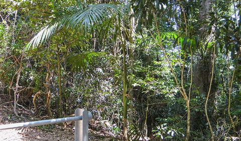 Goorgana Walking Track - Getaway Accommodation 0
