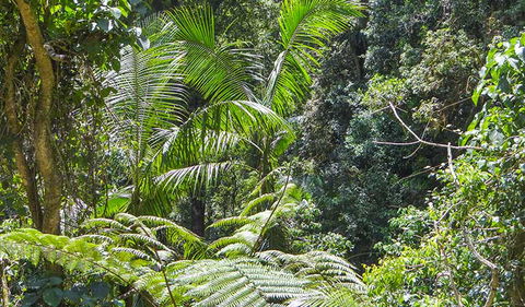 Goorgana Walking Track - Getaway Accommodation 1