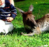 Bunbury Wildlife Park - Getaway Accommodation