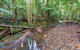 Ulidarra National Park - thumb 0