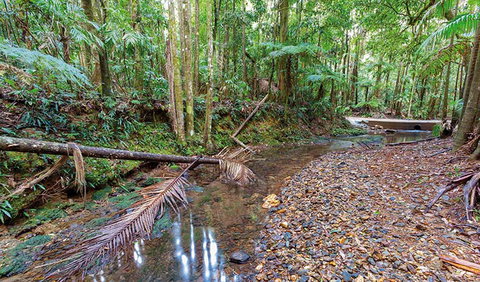 Ulidarra National Park - Getaway Accommodation 0