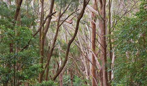Ulidarra National Park - Getaway Accommodation 1