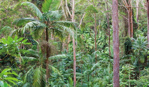 Ulidarra National Park - Getaway Accommodation 3
