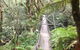 Bemm River Scenic Reserve - thumb 0