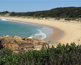 Cape Conran Nature Trail - Getaway Accommodation 1
