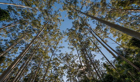 Queens Lake Nature Reserve - Getaway Accommodation 2