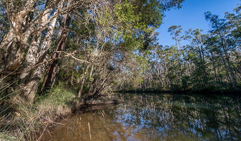 Queens Lake Nature Reserve - Getaway Accommodation 3
