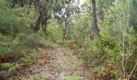 Kinchela Trig Lookout Walk - Getaway Accommodation 0