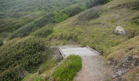 Connors Walking Track - Getaway Accommodation 2