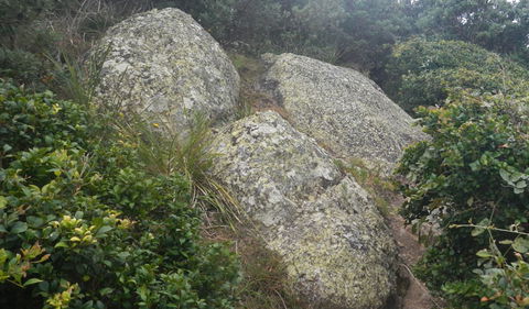 Korogoro Walking Track - Getaway Accommodation 2