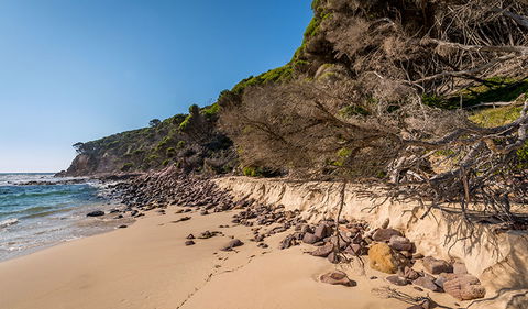 Terrace Beach And Lennards Island - Getaway Accommodation 2