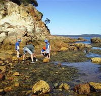 Sapphire Coast Marine Discovery Centre - Getaway Accommodation