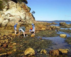 Sapphire Coast Marine Discovery Centre - Getaway Accommodation 0
