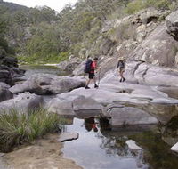 Nadgee Wilderness Walk - Getaway Accommodation