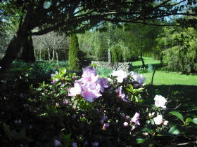 Annsleigh Gardens And Cafe - Getaway Accommodation 3