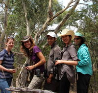 Echidna Walkabout Nature Tours - Getaway Accommodation