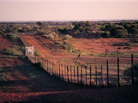 Tri State Safaris - Getaway Accommodation 4