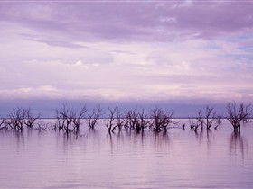 Tri State Safaris - Getaway Accommodation 8