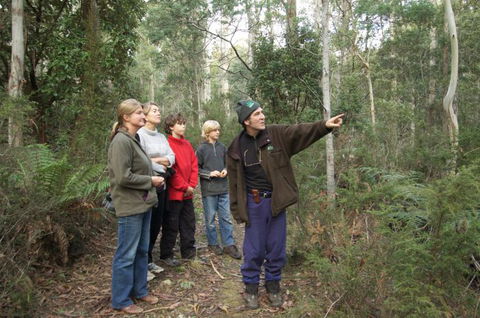 Great Western Tiers Forest Walks Tasmania - Getaway Accommodation 0