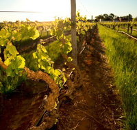Kaesler Old Vine Vineyard Tour - Getaway Accommodation