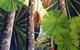 Kingstudio Art & Design Gallery - thumb 1