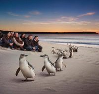 Down Under Thrills - Getaway Accommodation