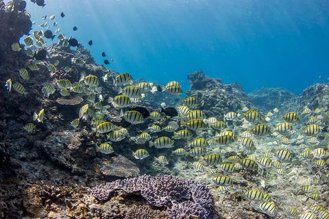 Turtle Eco Adventure Tour In Exmouth - Getaway Accommodation 4