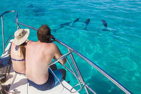 Turtle Eco Adventure Tour In Exmouth - Getaway Accommodation 7