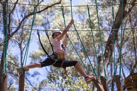 Busselton High Ropes And Zipline Adventure - Getaway Accommodation 1