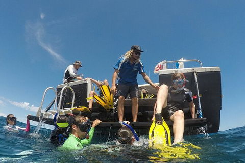 Deluxe WhaleShark Swim Tour On The Ningaloo Reef From Exmouth - Getaway Accommodation 6