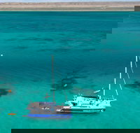 Whale Shark Swim by Catamaran in Shoulder Season - Getaway Accommodation