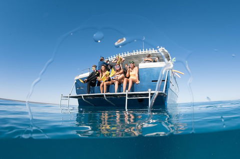 Swim With Whale Sharks - Ningaloo Reef - 3 Islands Whale Shark Dive - Getaway Accommodation 11