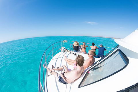 Swim With Whale Sharks - Ningaloo Reef - 3 Islands Whale Shark Dive - Getaway Accommodation 22
