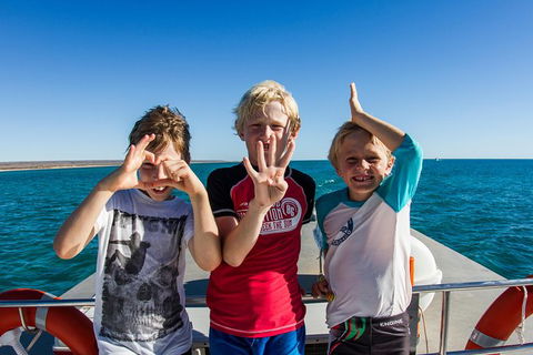 Swim With Whale Sharks - Ningaloo Reef - 3 Islands Whale Shark Dive - Getaway Accommodation 15