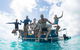 Swim With Whale Sharks - Ningaloo Reef - 3 Islands Whale Shark Dive - thumb 4