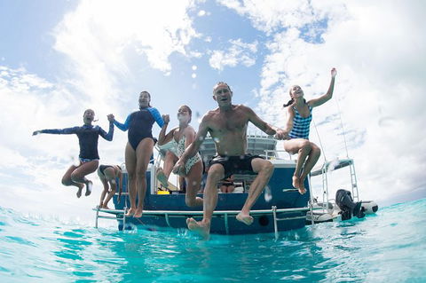 Swim With Whale Sharks - Ningaloo Reef - 3 Islands Whale Shark Dive - Getaway Accommodation 4