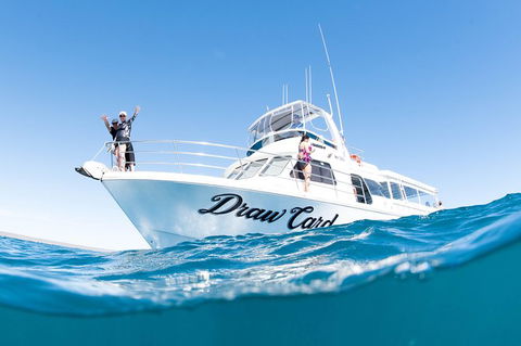 Swim With Whale Sharks - Ningaloo Reef - 3 Islands Whale Shark Dive - Getaway Accommodation 12
