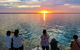 Humpback Whale Sunset Cruise - thumb 1