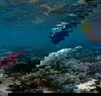 3 Night Ningaloo Reef Snorkel and Dive Getaway from Coral Bay - Getaway Accommodation