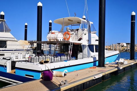 Muiron Island Dive & Snorkel Tour - Getaway Accommodation 7