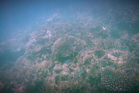 Guided Jet Ski And Snorkel Tour From Exmouth - Getaway Accommodation 1