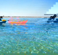 Turtle Tour - Ningaloo Reef Half Day Sea Kayak and Snorkel Tour - Getaway Accommodation