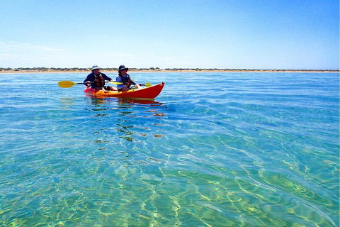 Turtle Tour - Ningaloo Reef Half Day Sea Kayak And Snorkel Tour - Getaway Accommodation 0