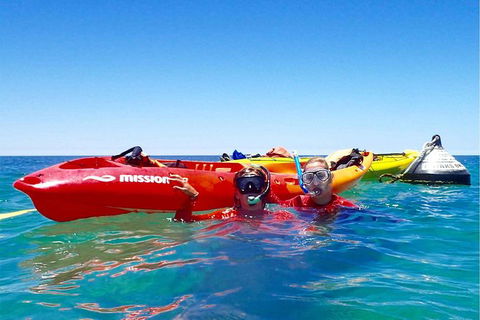 Turtle Tour - Ningaloo Reef Half Day Sea Kayak And Snorkel Tour - Getaway Accommodation 1