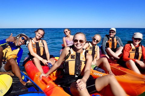 Turtle Tour - Ningaloo Reef Half Day Sea Kayak And Snorkel Tour - Getaway Accommodation 5
