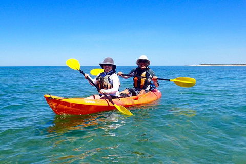 Turtle Tour - Ningaloo Reef Half Day Sea Kayak And Snorkel Tour - Getaway Accommodation 7