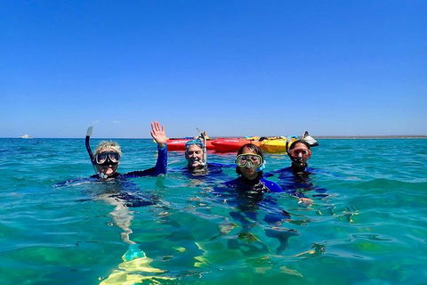 Turtle Tour - Ningaloo Reef Half Day Sea Kayak And Snorkel Tour - Getaway Accommodation 9